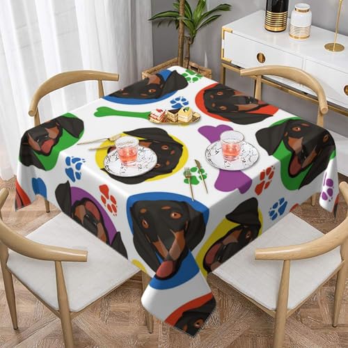 Verspieltes Dackelgesicht, quadratisch, staubdicht, wasserdicht, Tischdecke, 139,7 x 139,7 cm Verspieltes Dackelgesicht, quadratisch, staubdicht, wasserdicht, Tischdecke, 139,7 x 139,7 cm von BYwenhopnbs