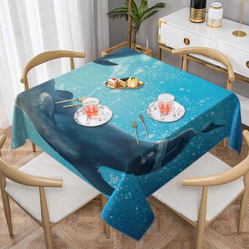 Winter The DolphinSquare Staubdichte Tischdecke wasserdichte Tischdecke 55x55Zoll Winter The DolphinSquare Staubdichte Tischdecke wasserdichte Tischdecke 55x55Zoll von BYwenhopnbs