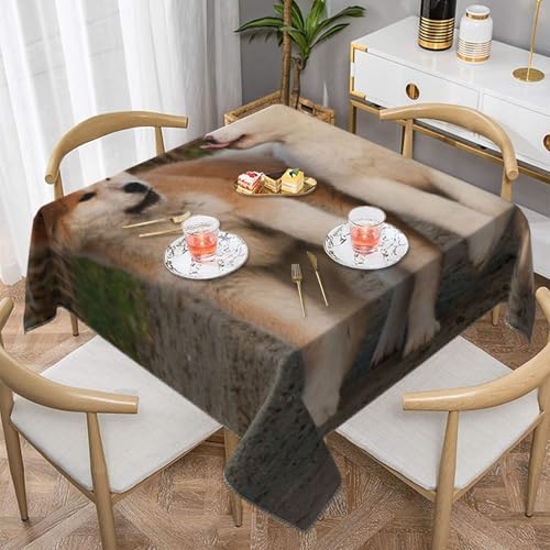Zwei süße Akita-Hunde, quadratisch, staubdicht, wasserdicht, Tischdecke, 139,7 x 139,7 cm Zwei süße Akita-Hunde, quadratisch, staubdicht, wasserdicht, Tischdecke, 139,7 x 139,7 cm von BYwenhopnbs