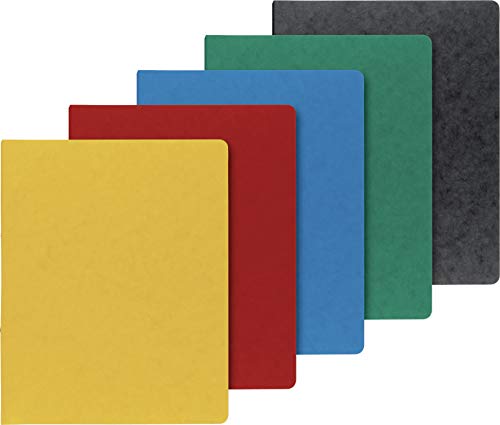 Baier & Schneider Brunnen 1065508, Ringbuch A4, Hochwertiger Pressspankarton 600 g/m², Fact!Plus, 10 Stück (4 Ringe, 30 mm Füllhöhe) 5 Standardfarben von Baier & Schneider