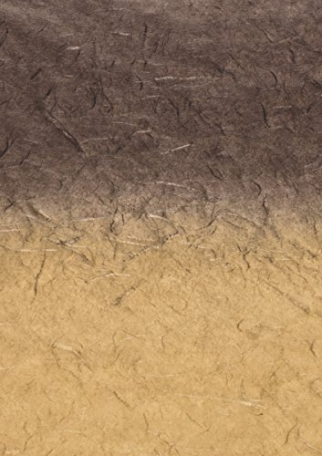 Baier & Schneider Japan-Faserpapier Strohseide Regenbogen mit Farbverlauf, 25 g/m, 700 x 1500 mm, Baier & Schneider Japan-Faserpapier Strohseide Regenbogen mit Farbverlauf, 25 g/m, 700 x 1500 mm, von Baier & Schneider