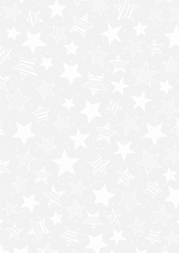 Baier & Schneider Transparent-Papier Transparentpapier, DIN A4 = 21,0 cm x 29,7 cm, 115 g/qm von Baier & Schneider