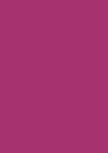 Heyda 203310564 Seidenpapier 50 x 70 cm pink Heyda 203310564 Seidenpapier 50 x 70 cm pink von Heyda