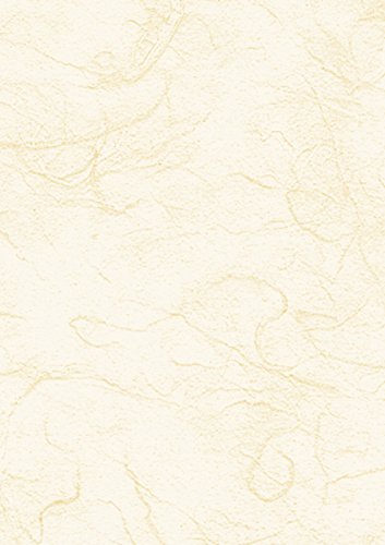 Heyda Strohseide 50x70cm 25g chamois von Baier & Schneider