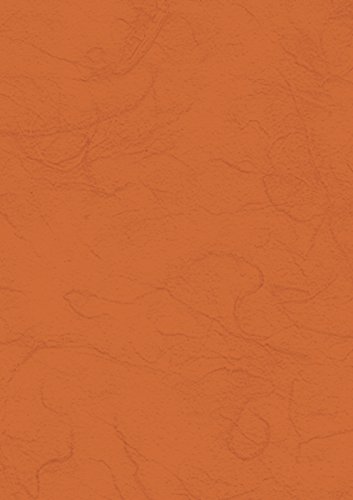 Heyda Strohseide 50x70cm 25g orange von Baier & Schneider