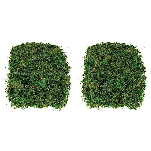 Baker Ross AV898 Getrocknetes Moos zum Basteln-100g, Terrarium Deko, Für Erwachsene und Kinder zum Basteln, Modellbau Zubehör, Grün, a_NA (Packung mit 2) von Baker Ross
