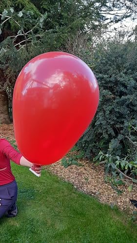 Ballonpoint-Riesenkeulenballon RS130, Standard, unbedruckt ohne Zubehör (ROT-101) von Ballonpoint