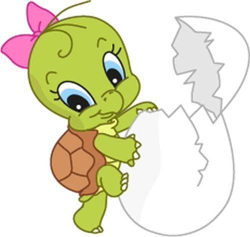 Bambinella® Aufbügler - Motiv: Schildkröte Turtle aus dem Ei – gedruckte Velour/Flock Applikation zum selbst Aufbügeln auf Baumwolle, Baumwollmischgewebe und Polyester. von Bambinella