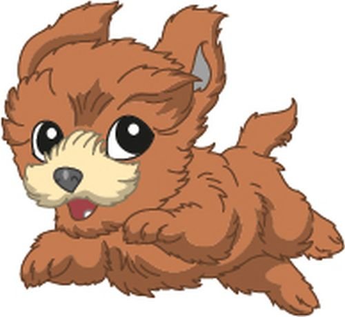 Bambinella® Bügelbild Aufbügler - gedruckte Velour/Flock Applikation zum selbst Aufbügeln - Motiv: Hund Havaneser von Bambinella