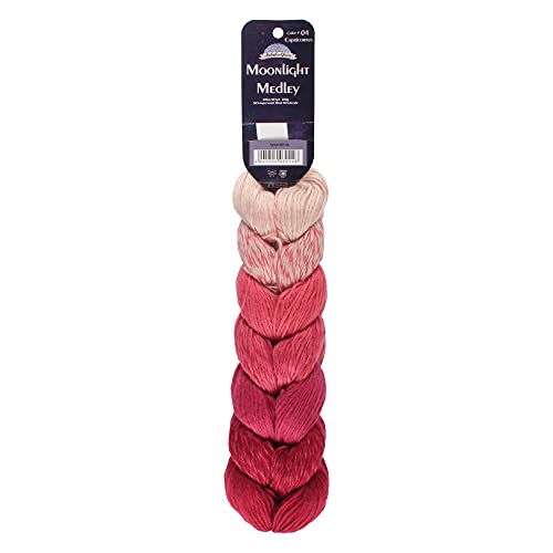 JubileeYarn Moonlight Medley Garn, Ombré-DK-Gewicht, Merinowolle/Acryl, 200 g/Strang, Steinbock, 1 Knäuel JubileeYarn Moonlight Medley Garn, Ombré-DK-Gewicht, Merinowolle/Acryl, 200 g/Strang, Steinbock, 1 Knäuel von BambooMN
