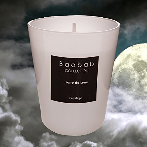 Baobab Max 16 Pierre de Lune Kerze, Kerzenwachs, 16cm, 16x10x16 cm Baobab Max 16 Pierre de Lune Kerze, Kerzenwachs, 16cm, 16x10x16 cm von Baobab