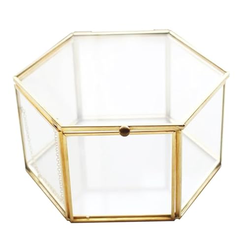 Baobiutin Glasschmuckschachtel Glas Schmuckschatulle klare konservierte Blume Geometrische Aufbewahrungsbox Sechseckige transparente Hülle für Ring -Ohrring -Blumenaufbewahrung von Baobiutin