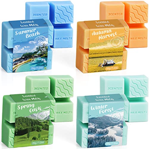 Duftwachswürfel Set, Duftwachs für Kerzen Wärmer, Wax Melts für Duftlampe, Vegan Wachsschmelzen, handgefertigte Sojawachsschmelzen, Geschenkset für Muttertag, Weihnachten, Geburtstag, 4 Stück Duftwachswürfel Set, Duftwachs für Kerzen Wärmer, Wax Melts für Duftlampe, Vegan Wachsschmelzen, handgefertigte Sojawachsschmelzen, Geschenkset für Muttertag, Weihnachten, Geburtstag, 4 Stück von BarBaren