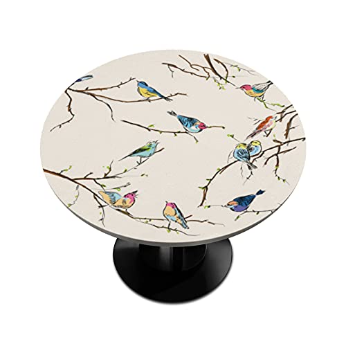 Runde Tischdecken, kleine Vögel, Tischdecken für runde Tische aus Polyester, mit Gummizug für Küche/Essen/Party, drinnen und draußen, maschinenwaschbar, 91,4 cm - 106,7 cm Runde Tischdecken, kleine Vögel, Tischdecken für runde Tische aus Polyester, mit Gummizug für Küche/Essen/Party, drinnen und draußen, maschinenwaschbar, 91,4 cm - 106,7 cm von Bardic