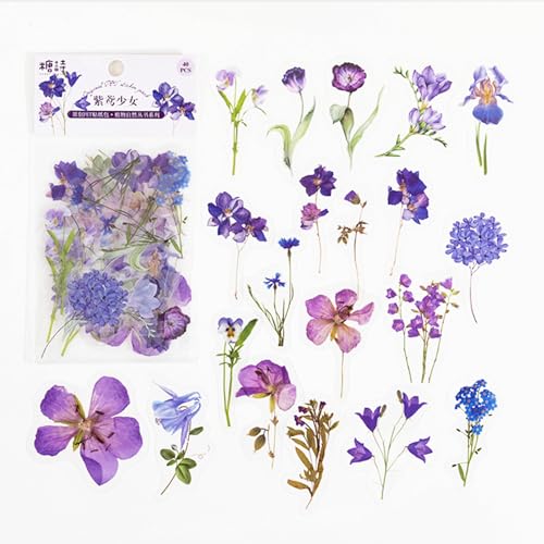 Barlone Scrapbooking Aufkleber Blumen, 40 Blatt PET Lila Sticker Blumen, Sticker für Fotoalbum, Bookish Sticker, Scrapbook Zubehör, Bullet Journal Zubehör, Sticker Aesthetic für DIY Tagebücher Karten Barlone Scrapbooking Aufkleber Blumen, 40 Blatt PET Lila Sticker Blumen, Sticker für Fotoalbum, Bookish Sticker, Scrapbook Zubehör, Bullet Journal Zubehör, Sticker Aesthetic für DIY Tagebücher Karten von Barlone
