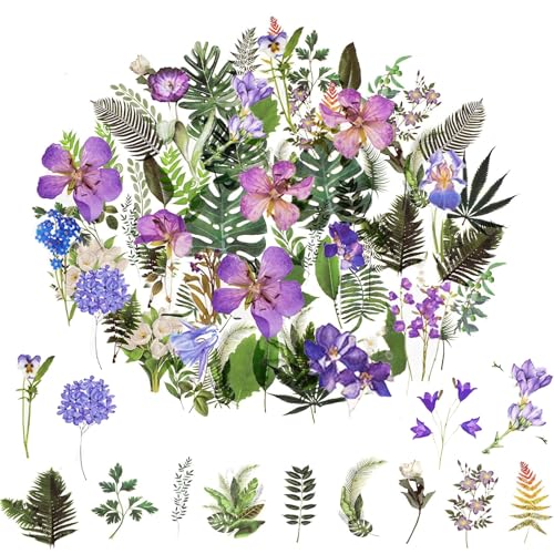 Barlone Transparente Scrapbooking Aufkleber,80 Blatt PET Blumen Aufkleber Flower Stickers, Pflanzen Sticker, Blumenaufkleber für Scrapbook Fotoalbum Sammelalbum Laptops Handwerk von Barlone