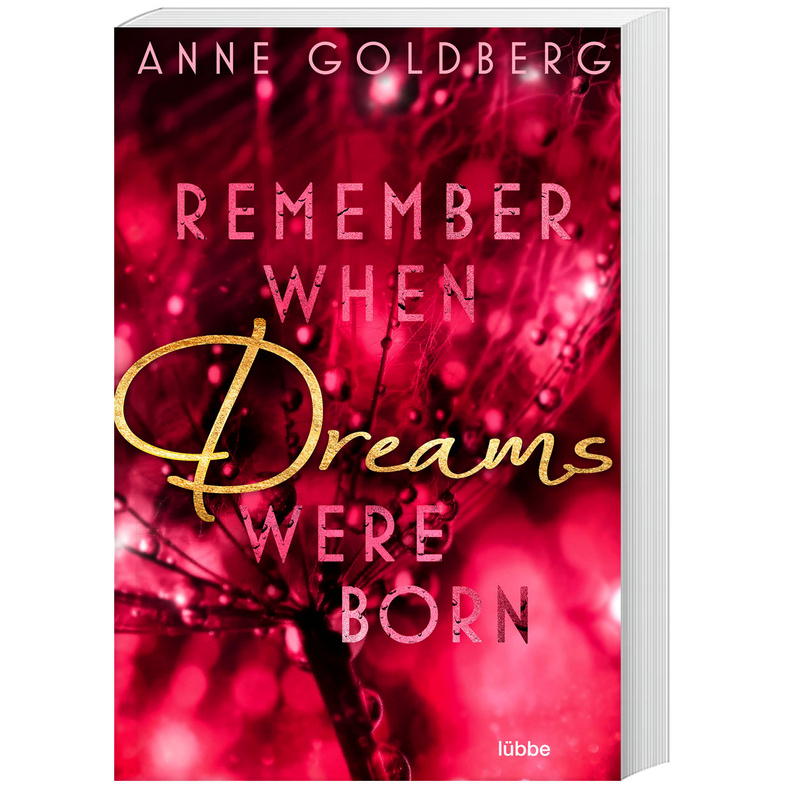 Remember When Dreams Were Born / Remember Bd.1 - Anne Goldberg, Taschenbuch von Bastei Lübbe
