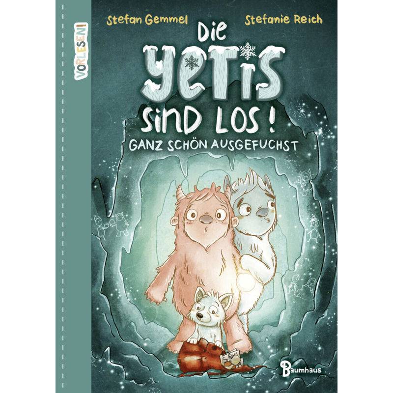 Ganz Schön Ausgefuchst / Die Yetis Sind Los! Bd.2 - Stefan Gemmel, Gebunden von Baumhaus Medien