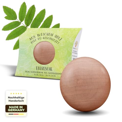 Baumstark Eberesche Holz Handschmeichler mit Baumhoroskop je Geburtsdatum. EIN liebevolles Geschenk, z. B. für Freundin oder Freund, als Glücksbringer zu Kommunion, erh. in 22 Holzarten von Baumstark