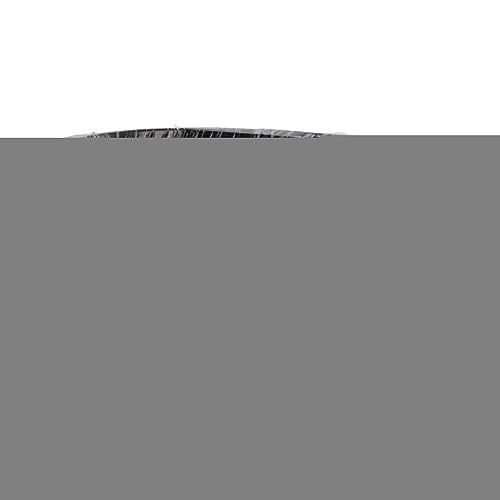 Baxnore Bonsai Aluminiumdraht, Antir -Gartenbau -Trainingsdraht, 1000 g Formierungslinie für die Bonsai -Baumstylingdekoration (2,0 mm) von Baxnore