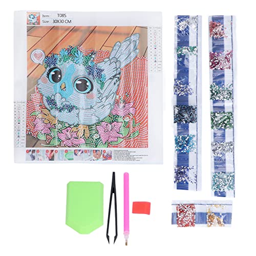 Baxnore Diamantmalerei Kits DIY Handgefertigte 5d Diamond Stickerei Little Owl Art Craft für Home Dekoration 30x30 cm Leinwand Harz Bohrer Set von Baxnore