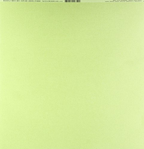 Bazzill Basics Paper Sittichkarton, 30,5 x 30,5 cm, 36,3 kg, mehrfarbig von Bazzill