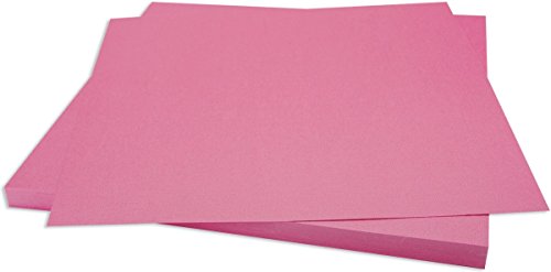 Bazzill Basics Paper 25 Scrapbooking Sheets Bling Feather Boa, Pink,12x12 Inches von Bazzill