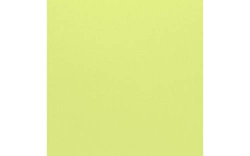 Bazzill Basics Paper Bazzill Basics Papier 25 Scrapbooking Blatt Leinwand Textur, Limeade von Bazzill