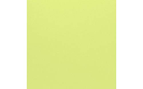 Bazzill Basics Paper Bazzill Basics Papier 25 Scrapbooking Blatt Leinwand Textur, Limeade, Weiß von Bazzill