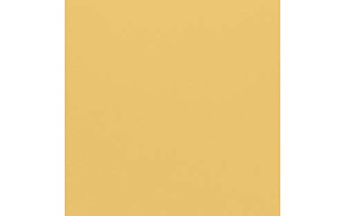 Bazzill Basics Papier 25 Scrapbooking Blatt Leinwand Textur, Sunbeam von Bazzill