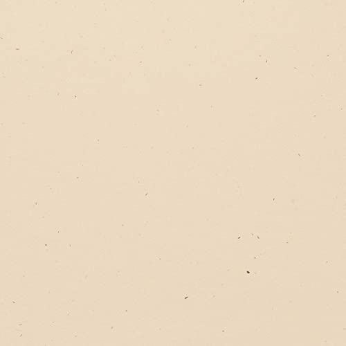 American Crafts Bazzill Speckle Cardstock 30,5 x 30,5 cm American Crafts Bazzill Speckle Cardstock 30,5 x 30,5 cm von Bazzill