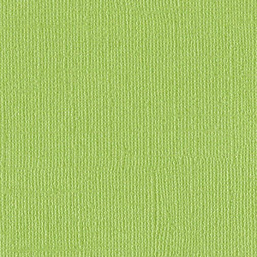 Bazzill Basics Paper Bazzill Basics Papier Scrapbooking Blatt Bling Petty Cash, grün Bazzill Basics Paper Bazzill Basics Papier Scrapbooking Blatt Bling Petty Cash, grün von Bazzill