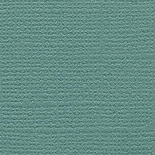 Bazzill Basics Paper: Grün, 25 Blätter, 30,5 x 30,5 cm, Scrapbooking-Blätter, Karton Bazzill Basics Paper: Grün, 25 Blätter, 30,5 x 30,5 cm, Scrapbooking-Blätter, Karton von Bazzill