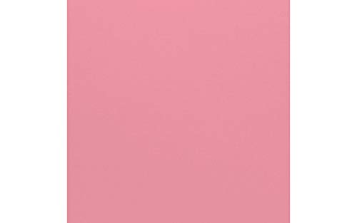 American Crafts Bazzill Cdstk 12x12 Mono Blätter für Sammelalben, weiß von American Crafts