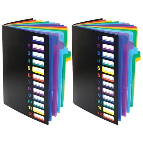 Bcowtte Aktenordner mit 24 Durchsichtigen, Erweiterbar, 12 Farbige Registerkarten, für 300 Blatt, Aktenordner, Nummerierter Index Auf Umschlag, 2 Stück von Bcowtte