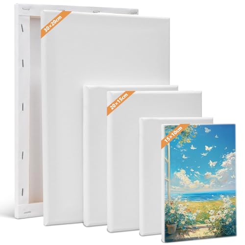 Leinwand Set, 6 Stück Leinwand zum Bemalen 30x20, 20x15, 15x10 cm (je 2 Stück), Keilrahmen Weiß Malen Canvas Künstlertafelbilder Leinwände für Acrylfarbe, Aquarell, Öl, Gouache von Bcuuozeeing