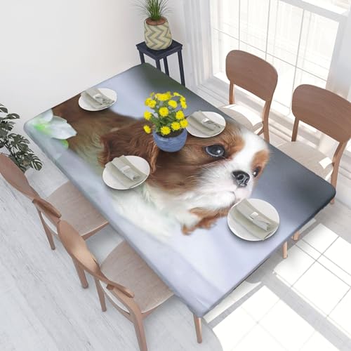 Tischdecke, wasserdichte Tischdecke mit elastischen Kanten, 1,2 m für die Küche, Cavalier King Charles Spaniel-Gesicht Tischdecke, wasserdichte Tischdecke mit elastischen Kanten, 1,2 m für die Küche, Cavalier King Charles Spaniel-Gesicht von BeNtli