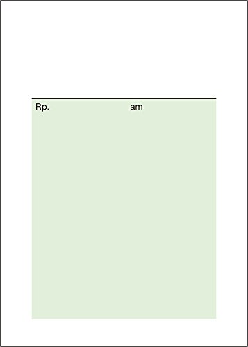 250 Privatrezepte Privatrezeptzettel lose für Ärzte und Heilpraktiker Format DIN A6, klassisch grün pr101-3 von BeWeSt