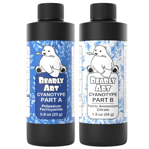 Bearly Art Cyanotype Kit – Sonne – Solar-Druck-Set für Fotodruck auf Papier und Stoff – 2-teiliger Sensibilisierer – Archivierung – Erzeugt 64 20,3 cm x 10 Drucke auf Cyanotyp-Papier und 50 auf Stoff von Bearly Art