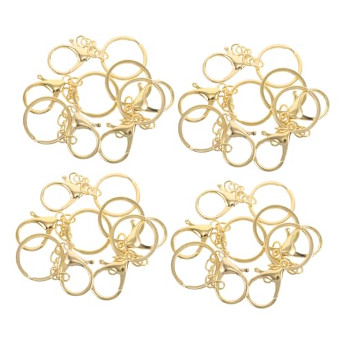 Beatifufu 20 Stück Teiliges Kleine Metall lobster karabinerhaken mit Kette Robuste Schlüsselanhänger Verschlüsse für DIY Schmuck Taschen und Bastelprojekte Vielseitige Eisen Schlüsselringe von Beatifufu