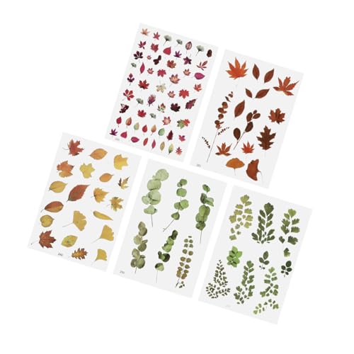 Beatifufu 5 Stück Teiliges DIY Epoxidharz Füllmaterial Blumen Sticker Transparente Dekorative Resin Füllstoffe für Schmuckherstellung Scrapbooking Geschenkverpackung Heimdekoration Beatifufu 5 Stück Teiliges DIY Epoxidharz Füllmaterial Blumen Sticker Transparente Dekorative Resin Füllstoffe für Schmuckherstellung Scrapbooking Geschenkverpackung Heimdekoration von Beatifufu