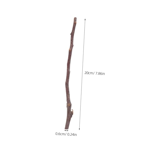 Beatifufu 50 Stück Natürliche Birkenzweige Dünne Holzstäbchen aus Birkenholz für Diy Bastelarbeiten Vielseitige Dekoration für Hochzeit Foto Requisiten Heim und Gartenhandwerk Beatifufu 50 Stück Natürliche Birkenzweige Dünne Holzstäbchen aus Birkenholz für Diy Bastelarbeiten Vielseitige Dekoration für Hochzeit Foto Requisiten Heim und Gartenhandwerk von Beatifufu