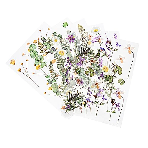 Beatifufu 6Taschen Selbstklebende und Pflanzenaufkleber für Scrapbooking DIY Tagebuchaufkleber Verschiedene Designs Vielseitig Einsetzbar für Projekte und Dekorationen von Beatifufu