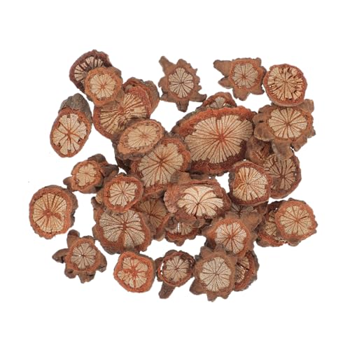 Beatifufu Rustikale Holzscheiben Paket DIY Bastelmaterial Natürliche Holzplättchen für Weinreben Kränze Dekoration Geburtstagsgeschenk Frauen Holzornamente Möbelverzierung von Beatifufu