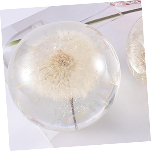 Beatifufu Silikonform Kugel Runde DIY Gießform für Harz Kristall Epoxid Resin Schmuckherstellung Pflanzenexemplar Dekoration Beatifufu Silikonform Kugel Runde DIY Gießform für Harz Kristall Epoxid Resin Schmuckherstellung Pflanzenexemplar Dekoration von Beatifufu