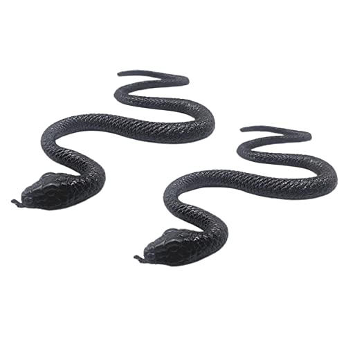 Beaupretty 2 Stück Realistische Schwarze Schlangenspielzeuge aus Flexiblem TPR Elastische Halloween Tischdekoration Langlebige und Sichere Party Deko für Lernen Beaupretty 2 Stück Realistische Schwarze Schlangenspielzeuge aus Flexiblem TPR Elastische Halloween Tischdekoration Langlebige und Sichere Party Deko für Lernen von Beaupretty