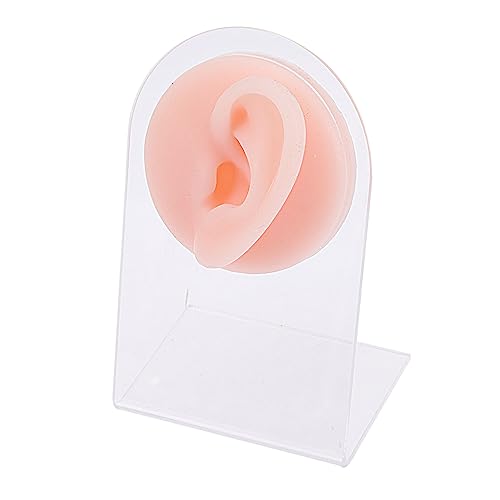 Beaupretty Silikonohrmodell Akupunktur Ohren Schmuck Display Halter für Ohrstecker und Ohrhaken Realistisches Silikon Piercing Modell mit Acrylständer für Optimale Präsentation Beaupretty Silikonohrmodell Akupunktur Ohren Schmuck Display Halter für Ohrstecker und Ohrhaken Realistisches Silikon Piercing Modell mit Acrylständer für Optimale Präsentation von Beaupretty