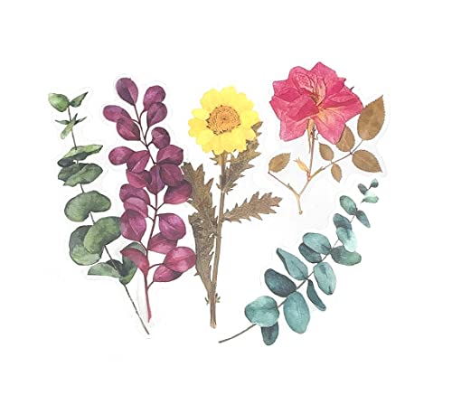 Blumen Pflanzen Aufkleber Set PET transparent dekorative Aufkleber,selbstklebende Pflanzenaufkleber für Scrapbooking Kunst DIY Handwerk Notizbuch Tagebücher Wand usw(60 pce Stil 5) Blumen Pflanzen Aufkleber Set PET transparent dekorative Aufkleber,selbstklebende Pflanzenaufkleber für Scrapbooking Kunst DIY Handwerk Notizbuch Tagebücher Wand usw(60 pce Stil 5) von Becho