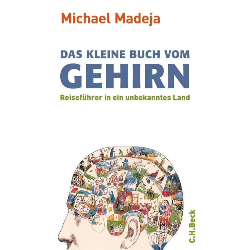 Das Kleine Buch Vom Gehirn - Michael Madeja, Gebunden von Beck