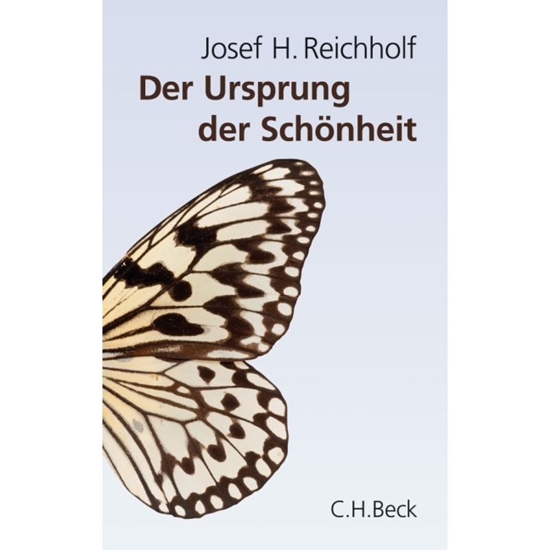 Der Ursprung Der Schönheit - Josef H. Reichholf, Gebunden von Beck